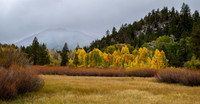 Cloudy Autumn Day
