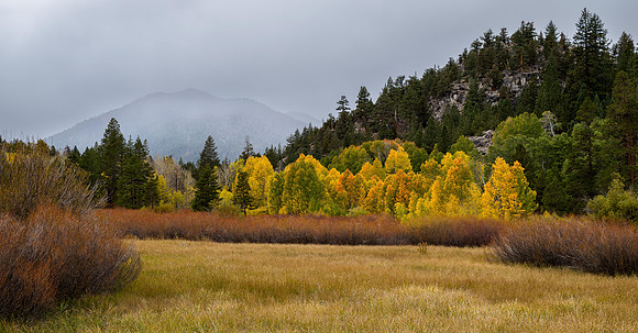 Cloudy Autumn Day