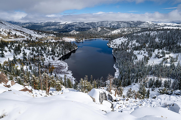 Fresh Snowfall