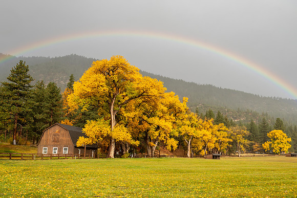 End of the storm