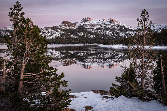 Early Winter