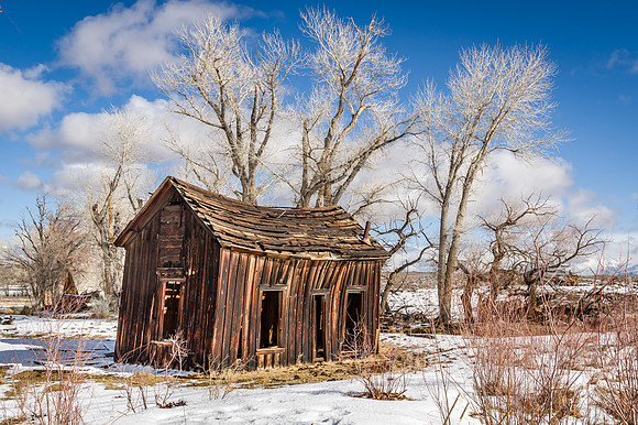 Wooden Shack
