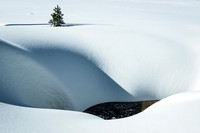Snowscape