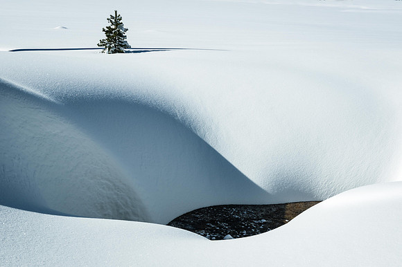 Snowscape