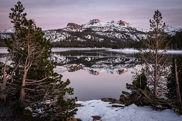 Early Winter