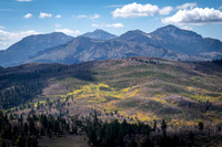 Fall Color