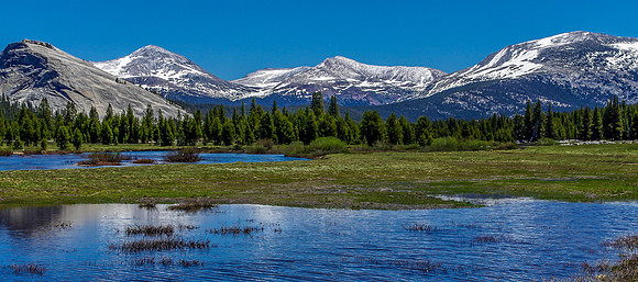 Tuolumne Meadows