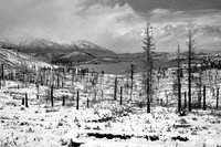 Devastation - Tamarack Fire