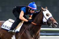 The Jockey