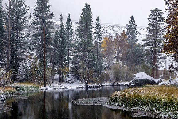Snowfall on Stream