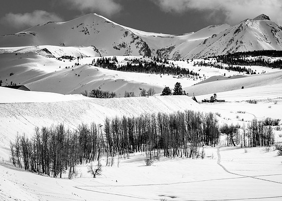 Cold Winter Day