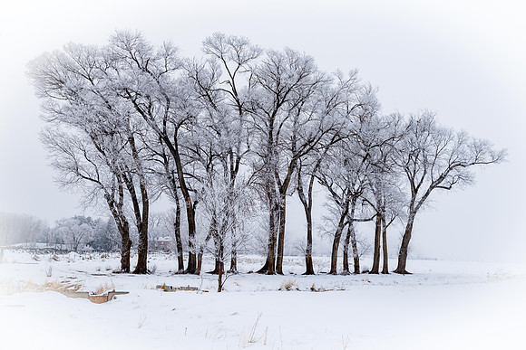Cold Winter Day