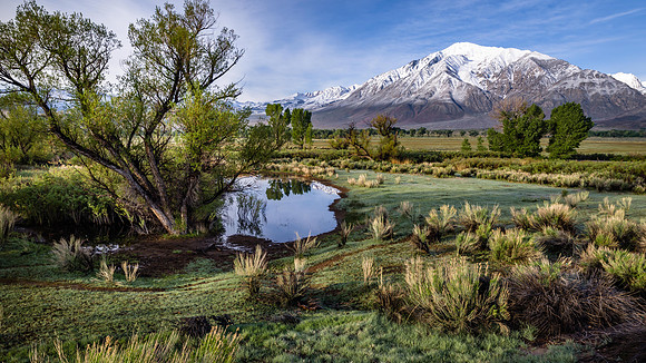 Early morning in Spring