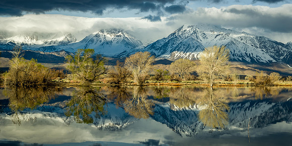 Early Spring