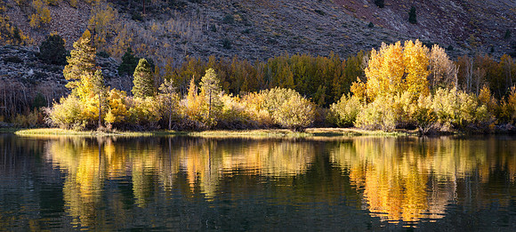 Early Morning Fall Color