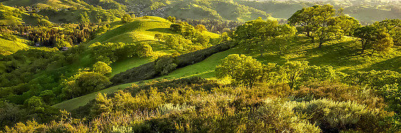 Mt. Diablo