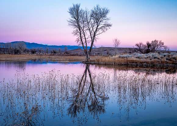 Winter on Farmers Pond