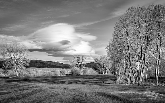 Later afternoon at the local golf course